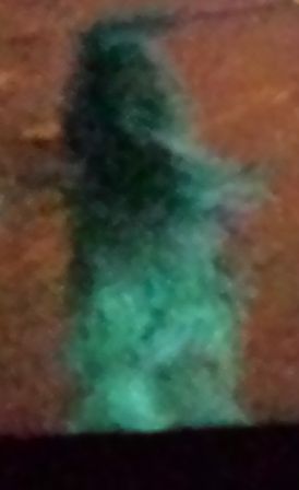 2013-11-03 23.56.41.jpg